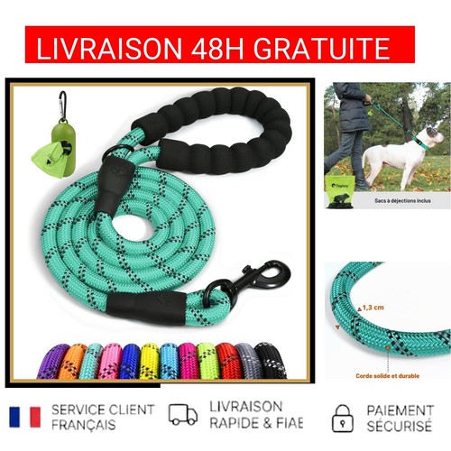 Laisse chien anti traction - laisse, anti-traction