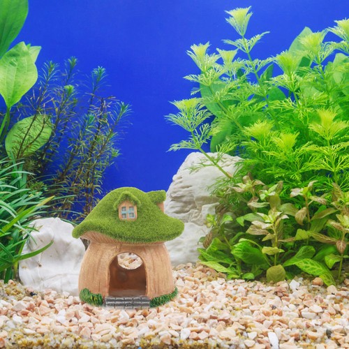Vivier poisson déco - vivier,