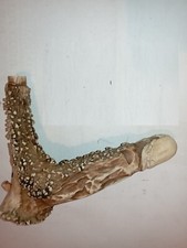 pommeau canne - andouiller