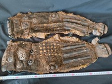 Ancien Kote Bras Protection