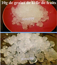 KEFIR DE FRUIT 10g Net
