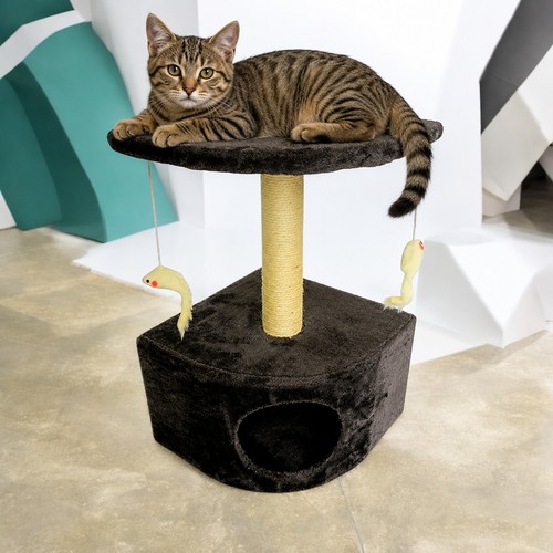 Arbre chat - à,