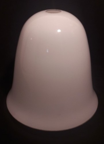 Tulipe opaline blanche st - tulipe, en