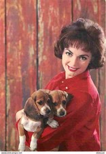 Animaux - Chiens - Beagle -