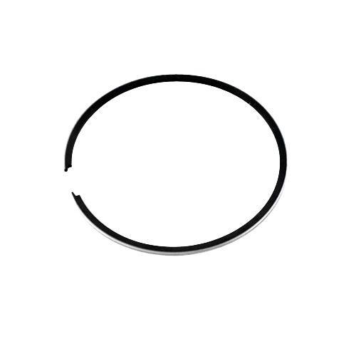 Segment kit polini - , evolution