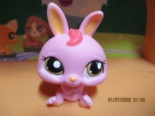 Petshop Dwarf Rabbit #1770