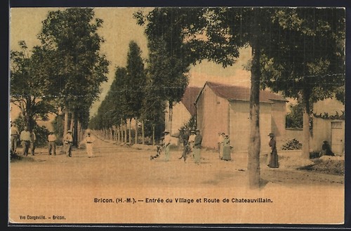 Cpa bricon entrée village - entrée,