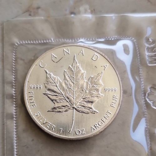 Canada canadian maple - canadian, 5