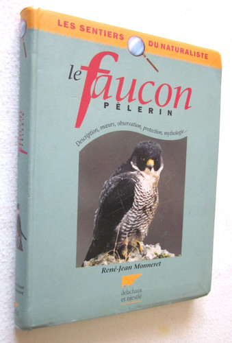 Faucon pelerin rené - pelerin,