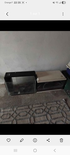 Aquariums disponible - disponible,