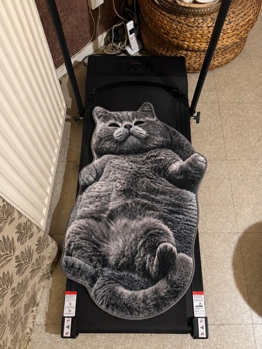 Tapis forme chat - en,