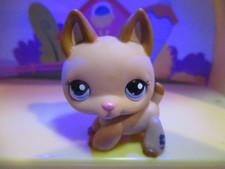 Petshop Chien Berger allemand