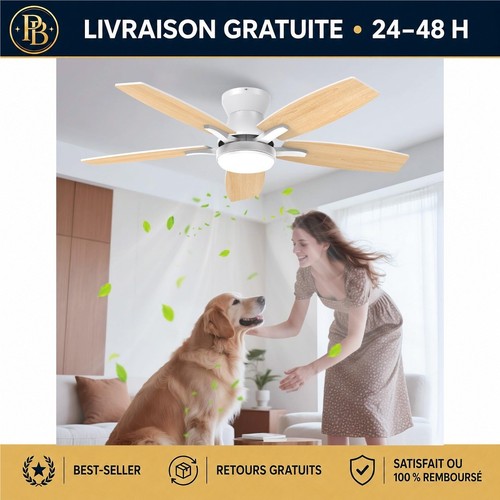 Ventilateur plafond airwit - ventilateur,