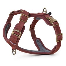 Collier/harnais pour chien