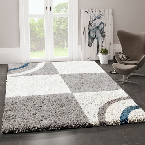 Salon tapis shaggy poils - tapis,