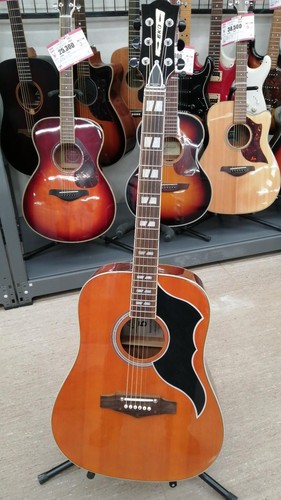 Guitare acoustique électrique