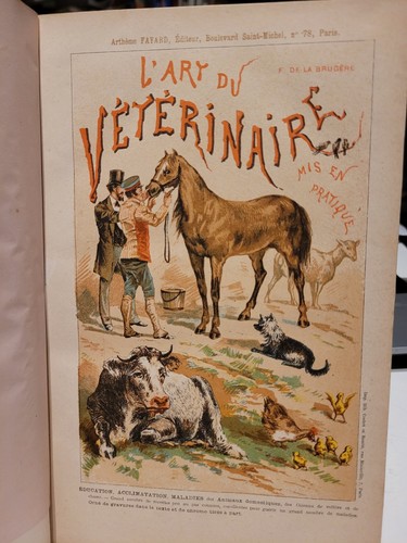 Art veterinaire mis en - du,