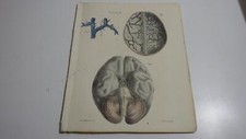 1850.lithographie couleur