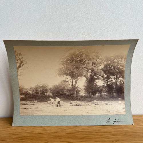 Photo albumine contrecollée