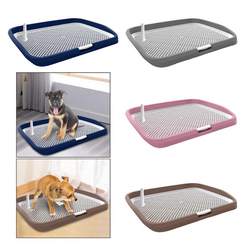 Toilette chien plateau - toilette,
