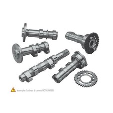 Arbre à cames HOT CAMS -