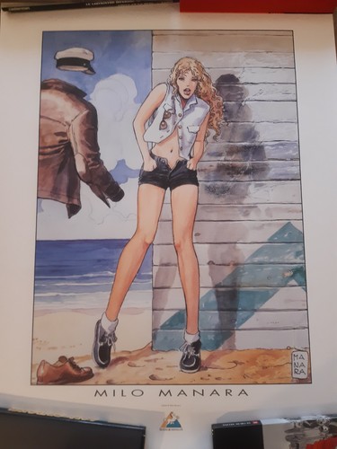Affiche poster manara 60x80 - /,