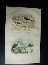 Gravure couleur