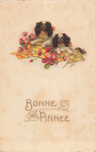 Illustree bonne annee - cp,