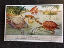 CHROMO LIEBIG SERIE LES