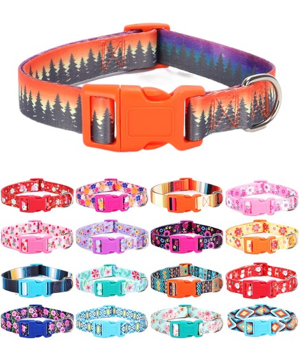 Collier pour chien pour chiot