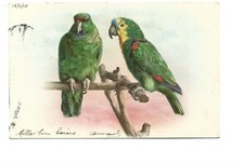 ILLUSTRATION - COUPLE DE