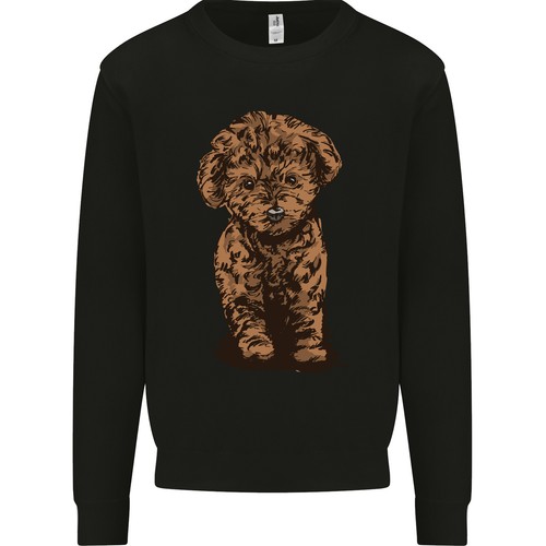 Sweat capuche pour - capuche, homme