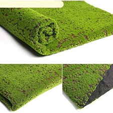 Décoration Jardin Maison