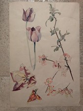 Étude de Fleurs Stylisées