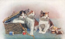 CATS and sewing box, toilet