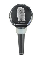 Havanais, Bichon Havanais