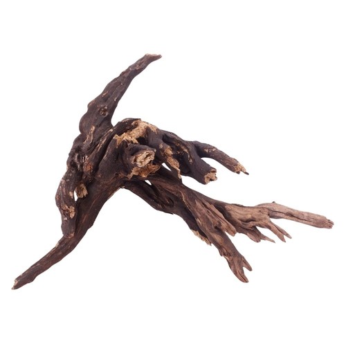 Driftwood racine de - racine,