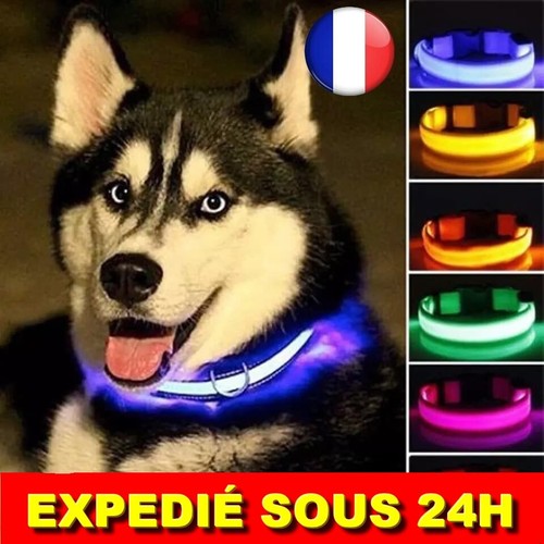 Collier led chien lumière - ✅,