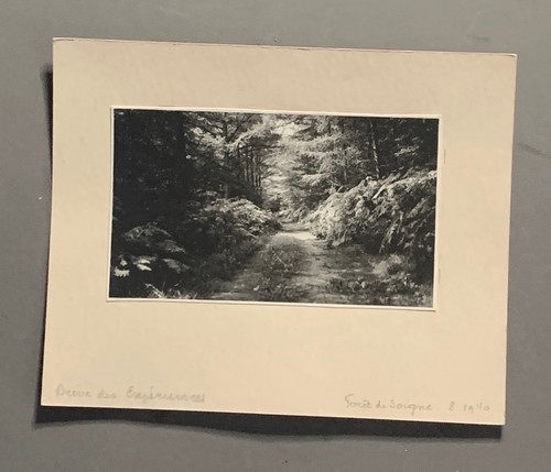 Photo carton foret soignes - carton, de