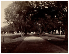 Java Vintage print.  Tirage