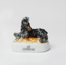 cyb - Fève zèbre  le