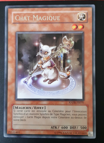 Chat magique anpr fr031 carte - chat,