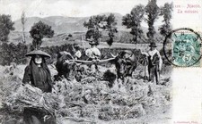 CPA 20 CORSE AJACCIO LA