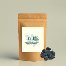 Griffe de Lion (Bicorne) –