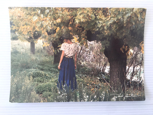 Carte postale david hamilton - carte,