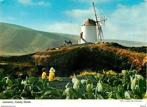 Carte postale moulin - carte,