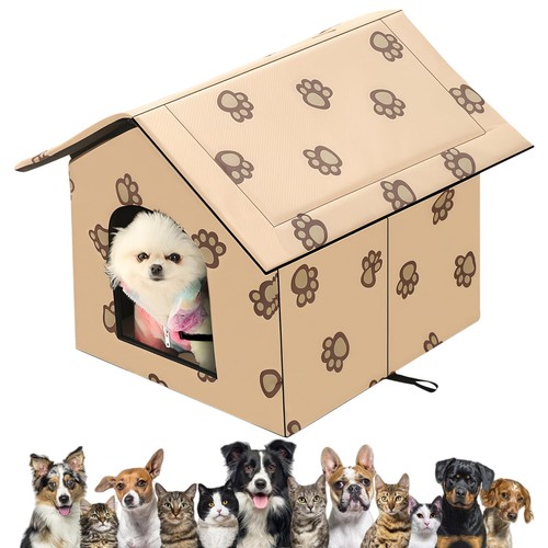 Maison pour chat - chat, extérieur