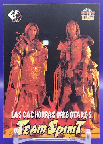 Carte collectionner - carte, à