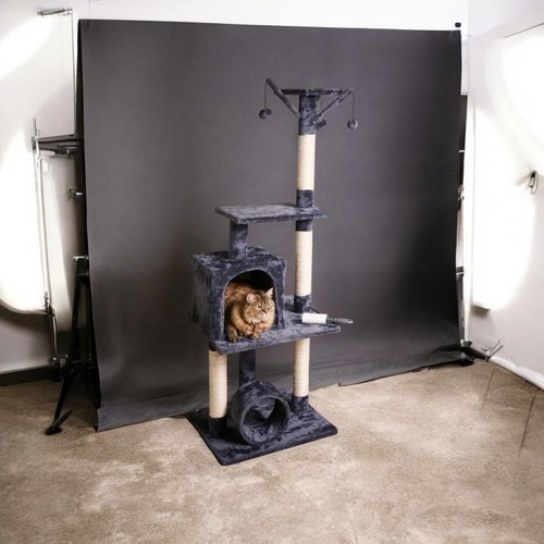 Arbre chat - arbre,