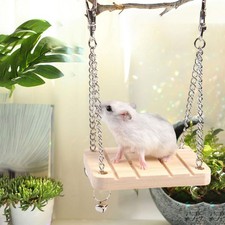 Hamster suspendu balançoire lit en bois Durable Cage jouets pour Reptile